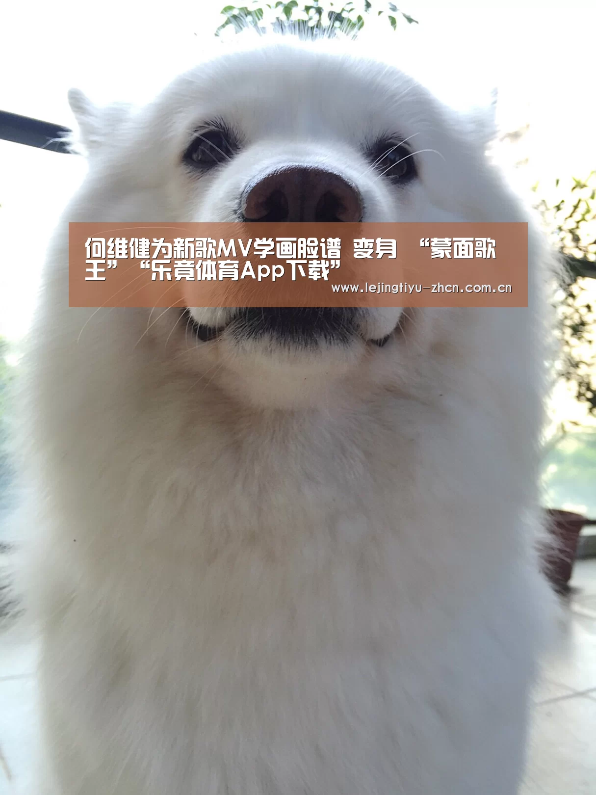 何维健为新歌MV学画脸谱 变身 “蒙面歌王”“乐竟体育App下载”(图4) 乐竟体育App下载