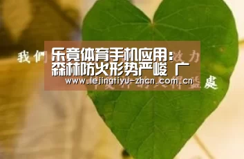 乐竟体育手机应用:
森林防火形势严峻 广东增强防火新技术推广(图3) 乐竟体育App下载