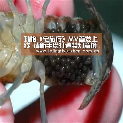 孙怡《宅旅行》MV首发上线 清新手绘打造梦幻意境-乐竟体育App下载(图2) 乐竟体育App下载